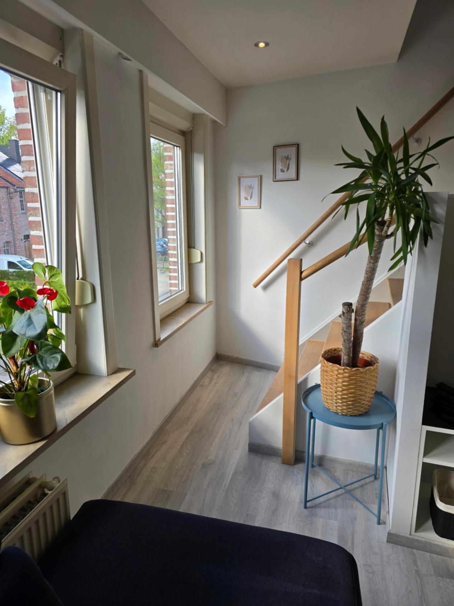Le Gite Des Ambres Denderleeuw Kültér fotó