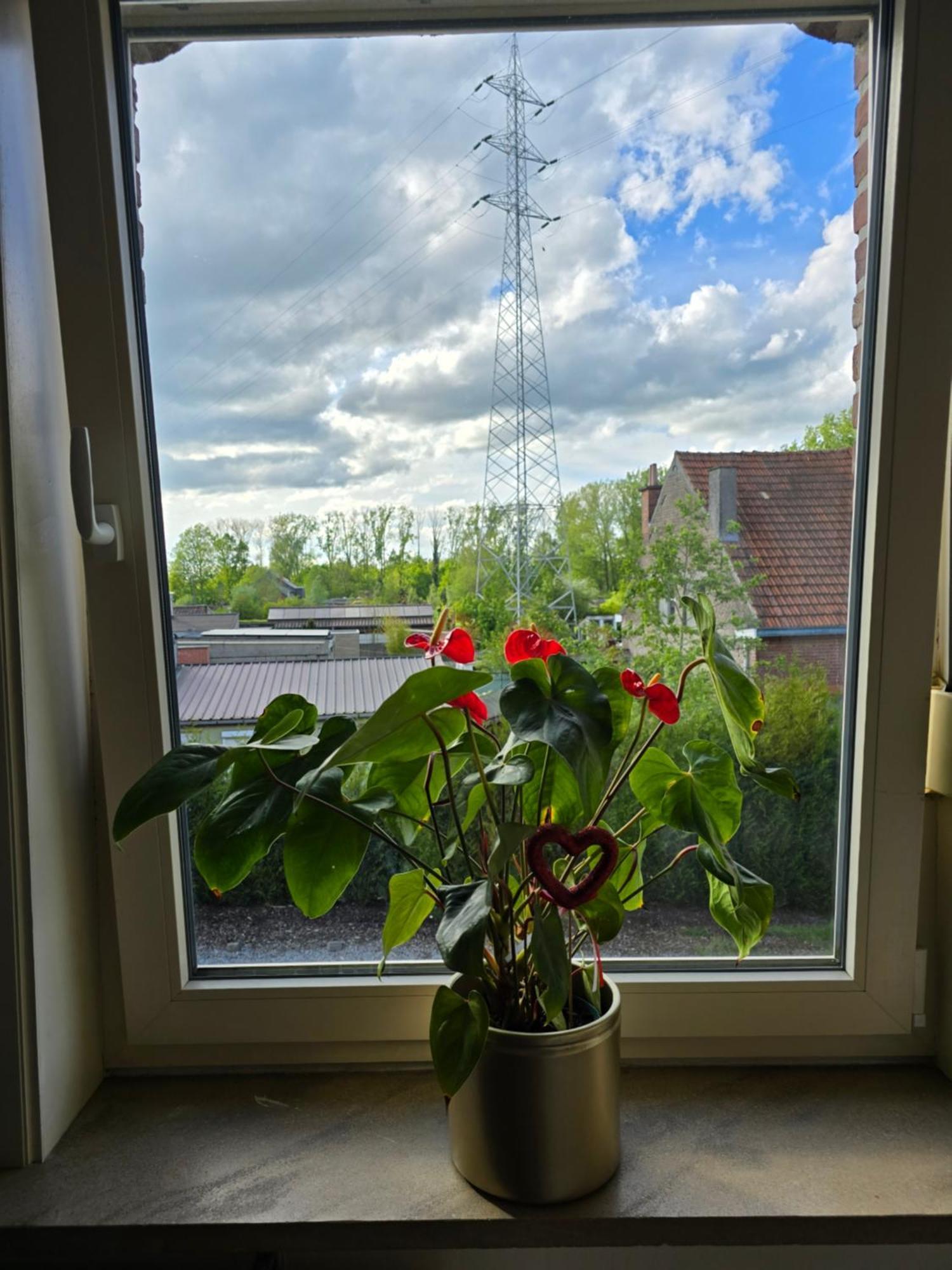 Le Gite Des Ambres Denderleeuw Kültér fotó