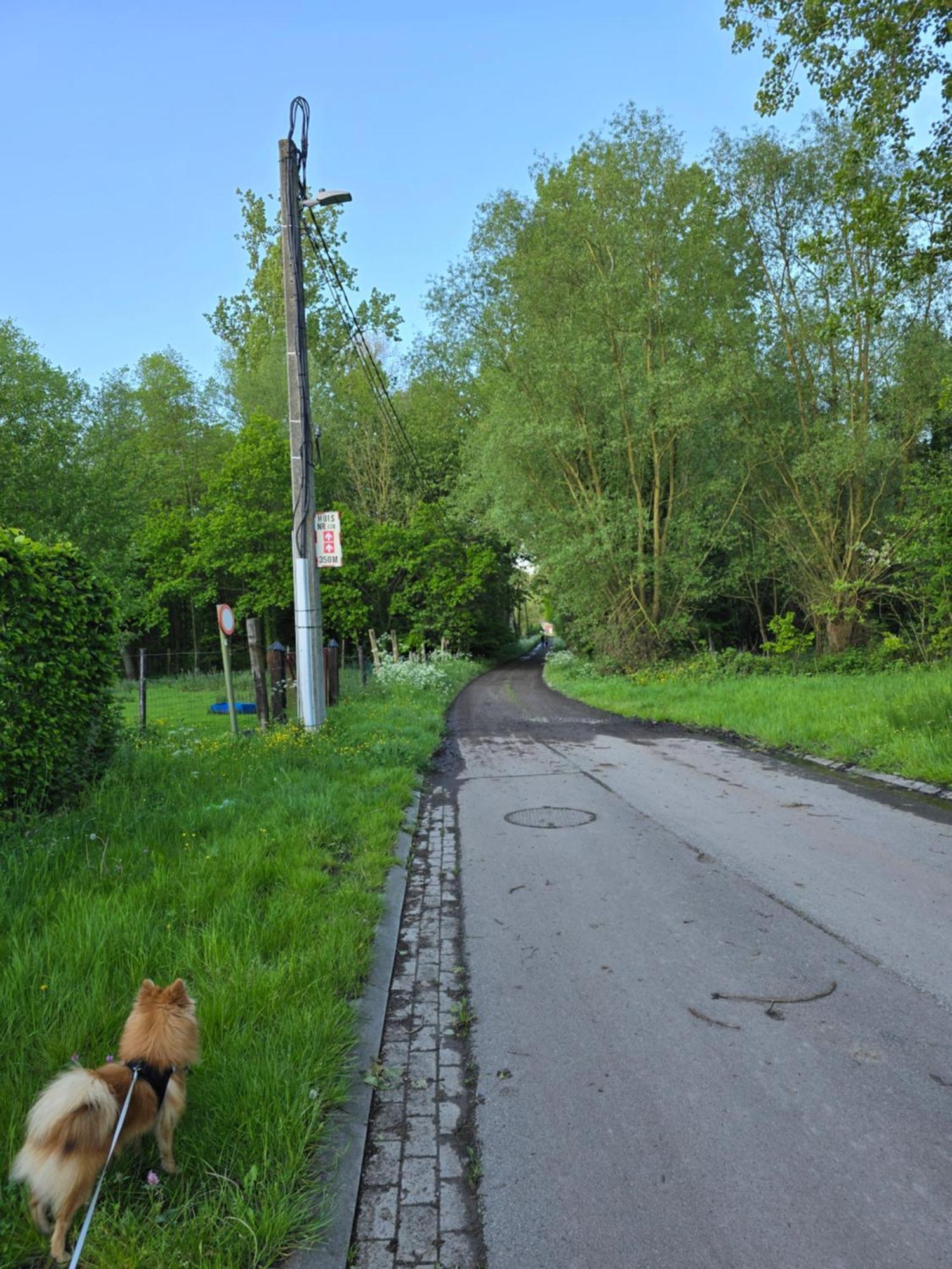 Le Gite Des Ambres Denderleeuw Kültér fotó